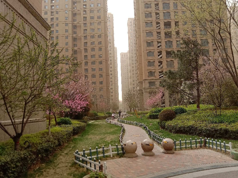 林荫大院