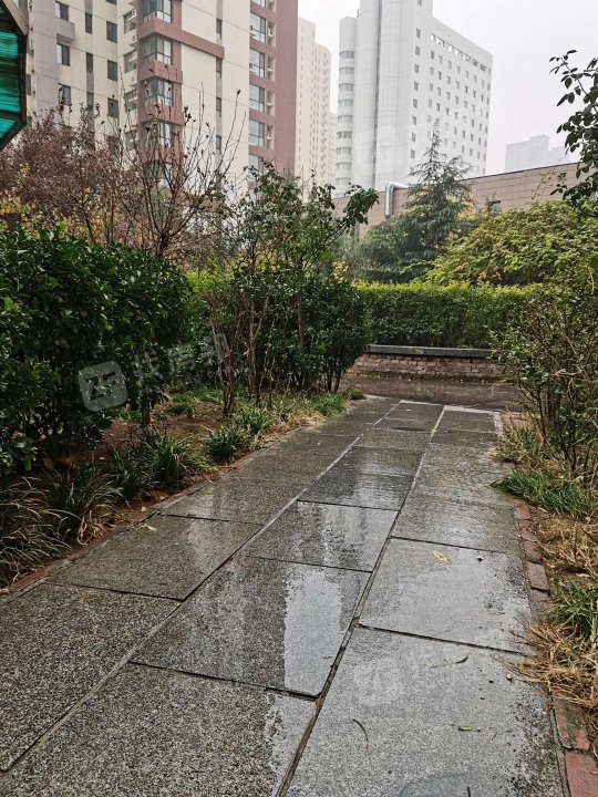 翰林观天下一期