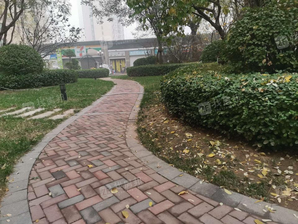 金正缔景城