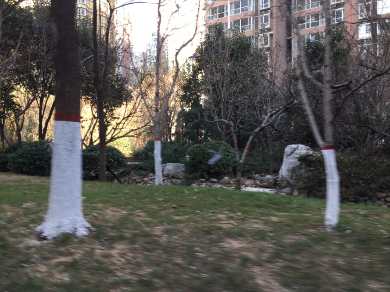 星河御城