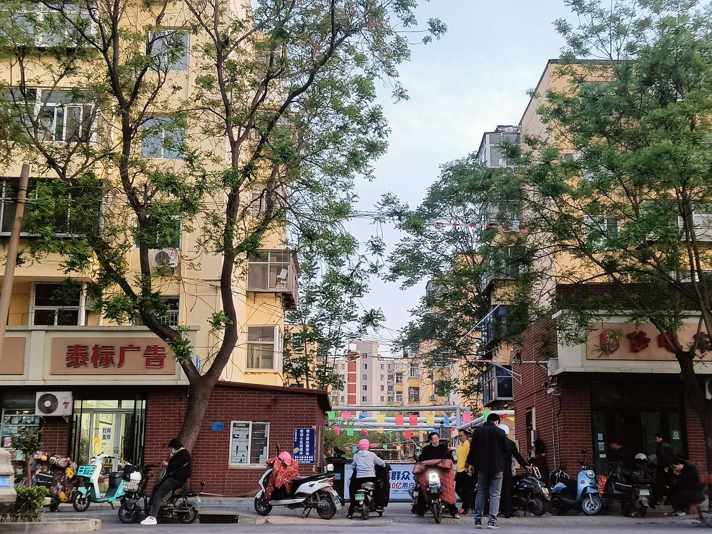 柏林南区